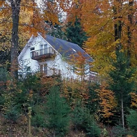 Soaptele Padurii & Casuta Din Padure Sucevita Exterior foto