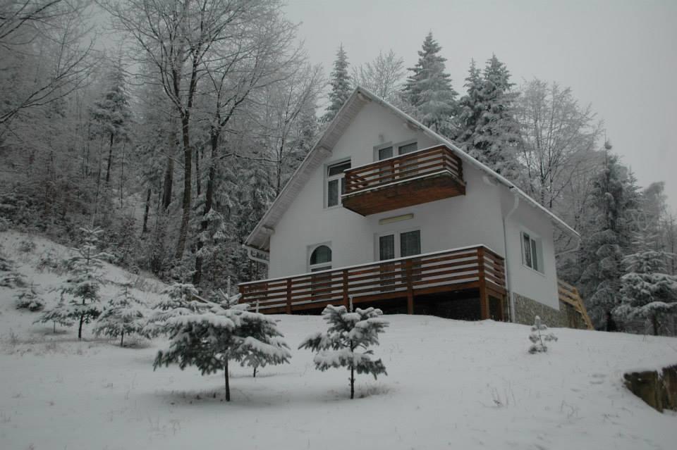 Soaptele Padurii & Casuta Din Padure Sucevita Quarto foto