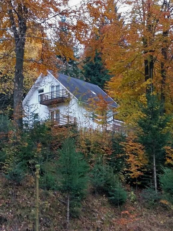Soaptele Padurii & Casuta Din Padure Sucevita Exterior foto