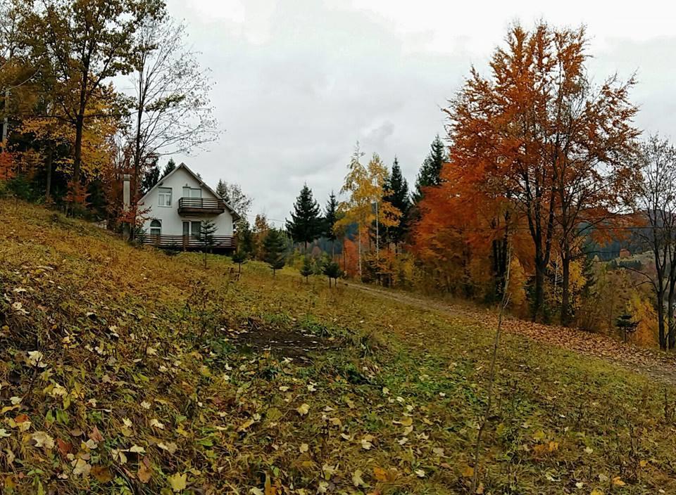 Soaptele Padurii & Casuta Din Padure Sucevita Exterior foto